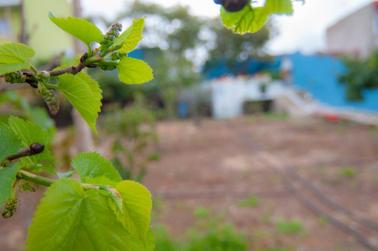 Villa La Huerta De Manuel Tejina Esterno foto
